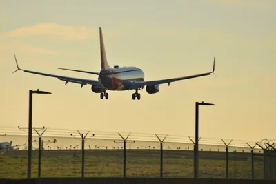 DSC_5680 (Large).JPG